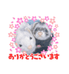 フェレット〜花鈴＆空の日常スタンプPart③（個別スタンプ：8）