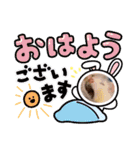 フェレット〜花鈴＆空の日常スタンプPart③（個別スタンプ：14）