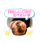 フェレット〜花鈴＆空の日常スタンプPart③（個別スタンプ：16）