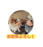 zennboyy（個別スタンプ：9）