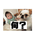 zennboyy（個別スタンプ：31）