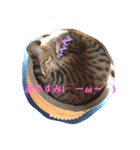 にゃんにゃん☆さくら（個別スタンプ：2）