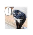 めいちゃんの変身（個別スタンプ：2）
