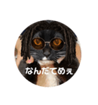 めいちゃんの変身（個別スタンプ：3）