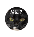 めいちゃんの変身（個別スタンプ：7）