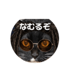めいちゃんの変身（個別スタンプ：8）