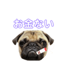 ごま大福2（個別スタンプ：14）