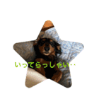 武蔵、松、雲丹、紅（個別スタンプ：17）