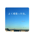ソラと私（個別スタンプ：4）