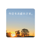 ソラと私（個別スタンプ：5）