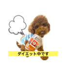 りっぴーの毎日（個別スタンプ：3）