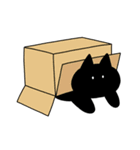 とある黒猫（個別スタンプ：13）