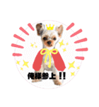 日常言葉2♥わんこ組（個別スタンプ：4）