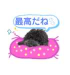 日常言葉2♥わんこ組（個別スタンプ：8）