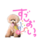日常言葉2♥わんこ組（個別スタンプ：9）