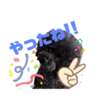 日常言葉2♥わんこ組（個別スタンプ：22）
