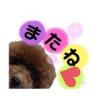 日常言葉2♥わんこ組（個別スタンプ：29）