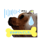 日常言葉2♥わんこ組（個別スタンプ：30）