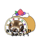 チワンズです（個別スタンプ：6）