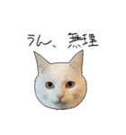働きたくないよスタンプ（個別スタンプ：4）