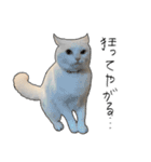 働きたくないよスタンプ（個別スタンプ：5）