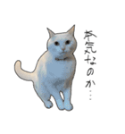 働きたくないよスタンプ（個別スタンプ：6）