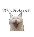 働きたくないよスタンプ（個別スタンプ：9）