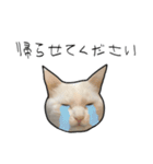 働きたくないよスタンプ（個別スタンプ：13）