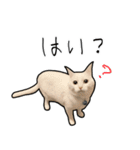 働きたくないよスタンプ（個別スタンプ：14）