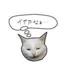 働きたくないよスタンプ（個別スタンプ：15）