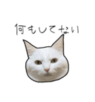 働きたくないよスタンプ（個別スタンプ：22）