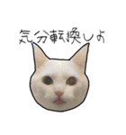 働きたくないよスタンプ（個別スタンプ：26）
