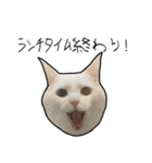 働きたくないよスタンプ（個別スタンプ：28）