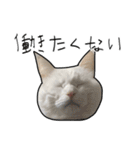 働きたくないよスタンプ（個別スタンプ：33）