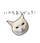 働きたくないよスタンプ（個別スタンプ：39）