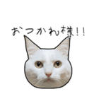 働きたくないよスタンプ（個別スタンプ：40）