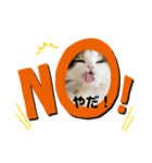 ねこちこ1（個別スタンプ：5）