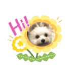 くまちゃんいぬ♡の日常（個別スタンプ：3）