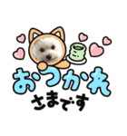 くまちゃんいぬ♡の日常（個別スタンプ：15）