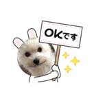 くまちゃんいぬ♡の日常（個別スタンプ：20）