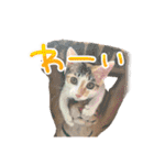 かわいい三毛猫ちゃんスタンプ（個別スタンプ：13）