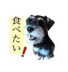 とんすけと仲間たち（個別スタンプ：18）