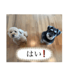 とんすけと仲間たち（個別スタンプ：32）