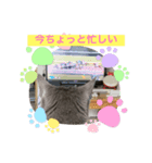 ロシ夫さんスタンプ2（個別スタンプ：5）