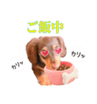 COCOちゃん日常スタンプ2（個別スタンプ：4）