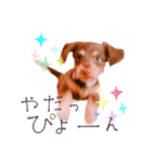 COCOちゃん日常スタンプ2（個別スタンプ：10）