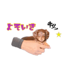 COCOちゃん日常スタンプ2（個別スタンプ：12）