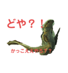 ふとあごひげとかげ大福君（個別スタンプ：7）