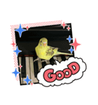 インコのひなちゃん便り（個別スタンプ：7）