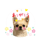 ちくわちくわ2（個別スタンプ：7）